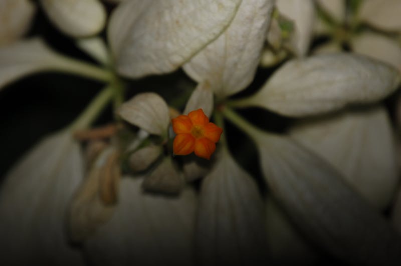 Driveway before pressure washing in Temple TX